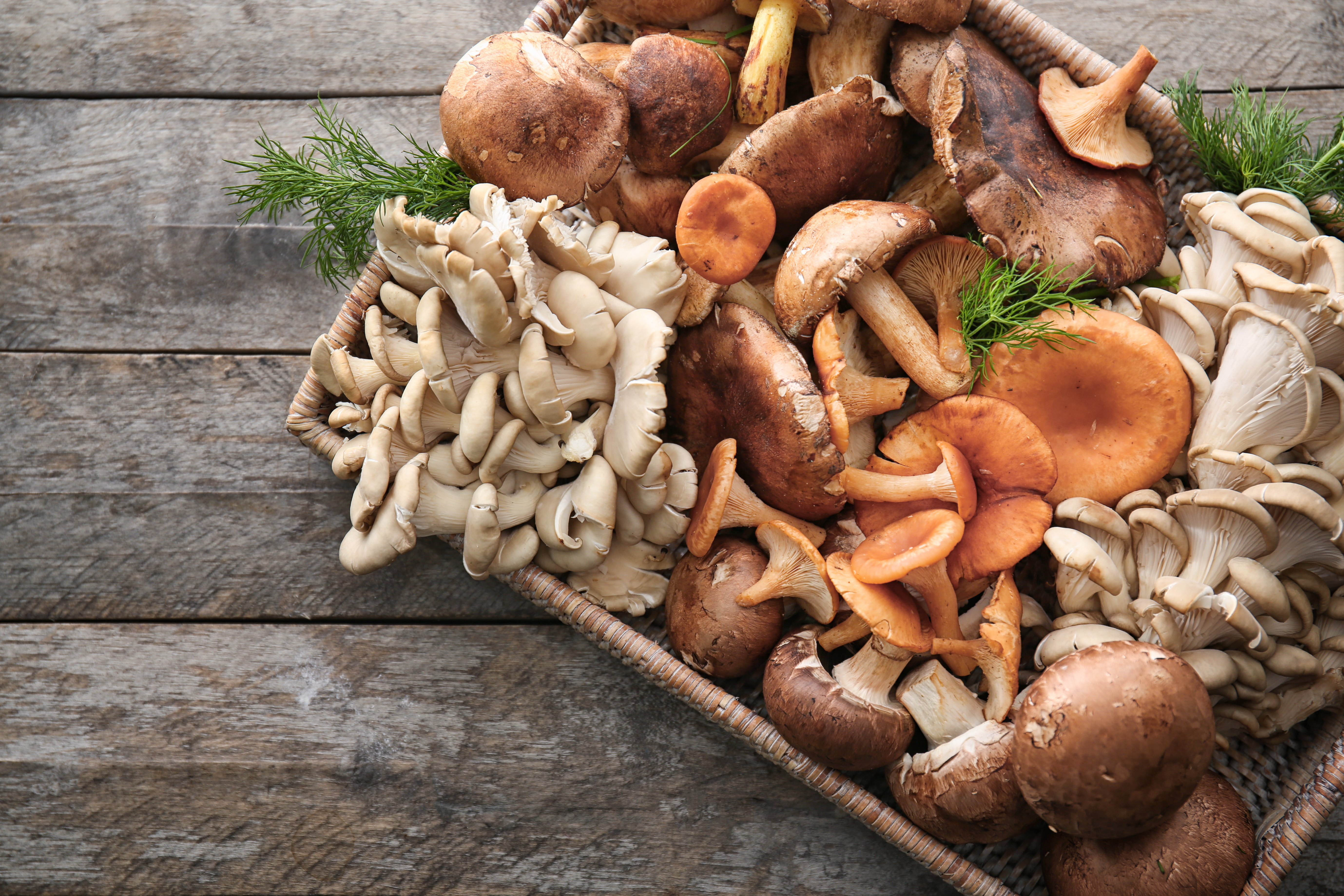 Какова питательная ценность грибов?