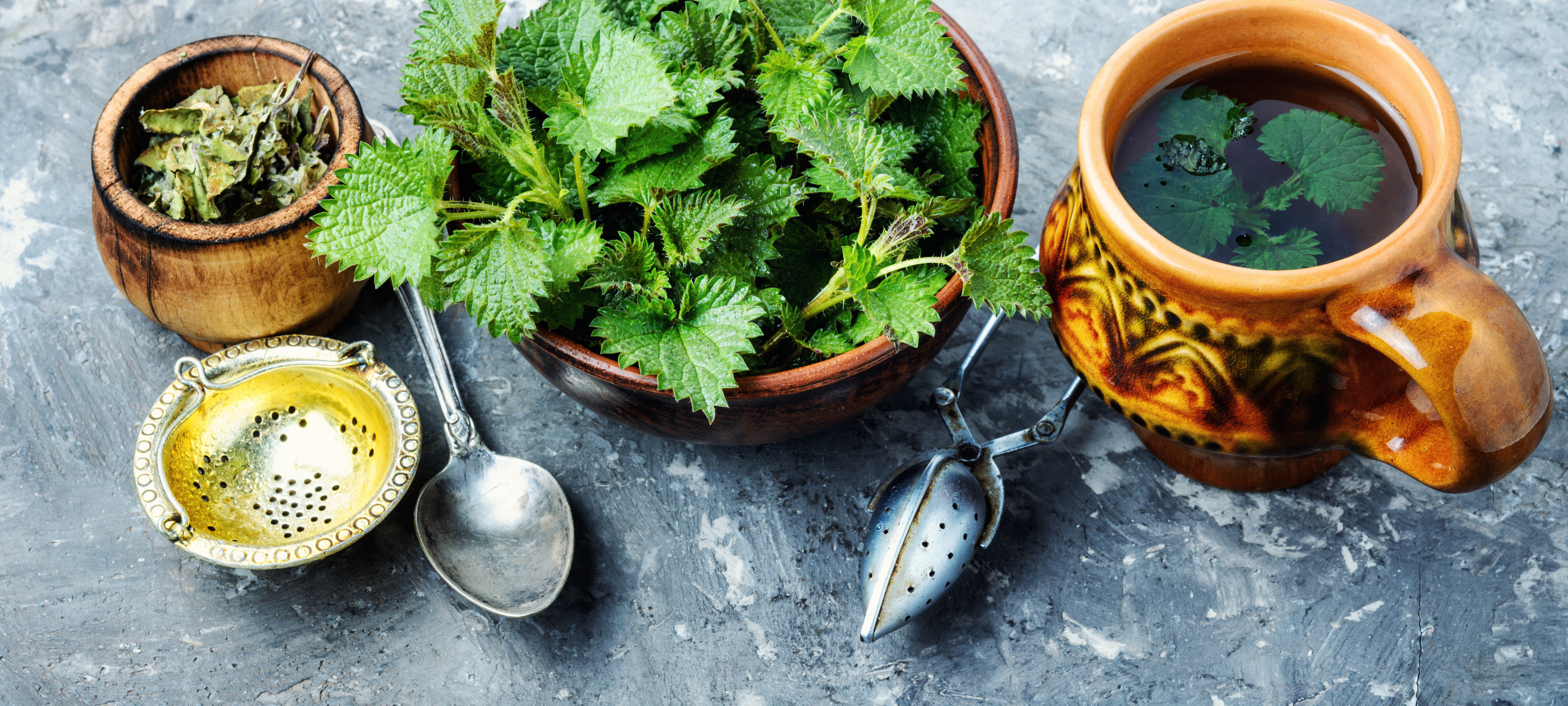 18 преимуществ крапивы для здоровья и рецепт приготовления чая из крапивы