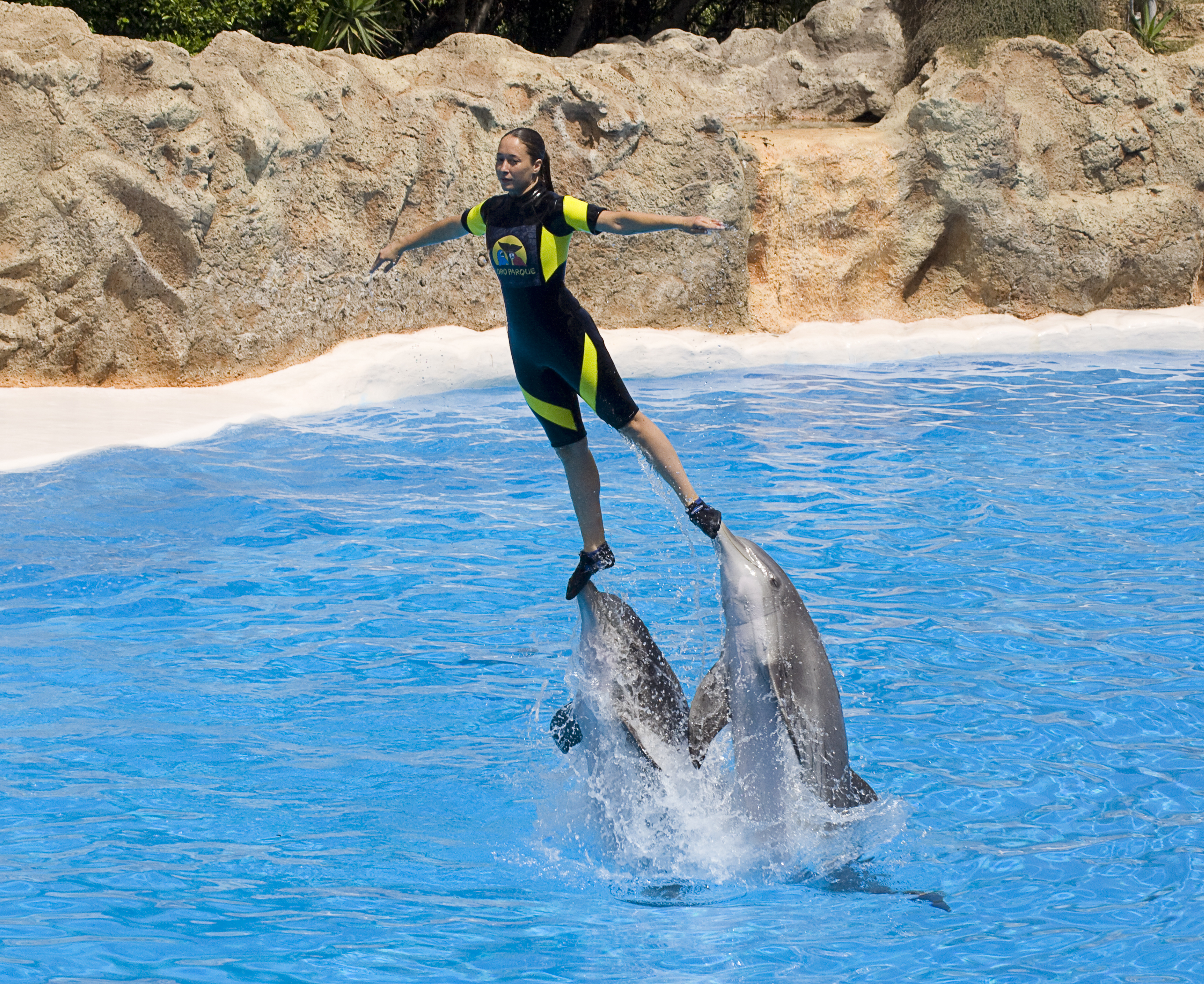 SeaWorld прекращает показывать «серфинг» с дельфинами, но по-прежнему отрицает, что трюки «опасны» для них