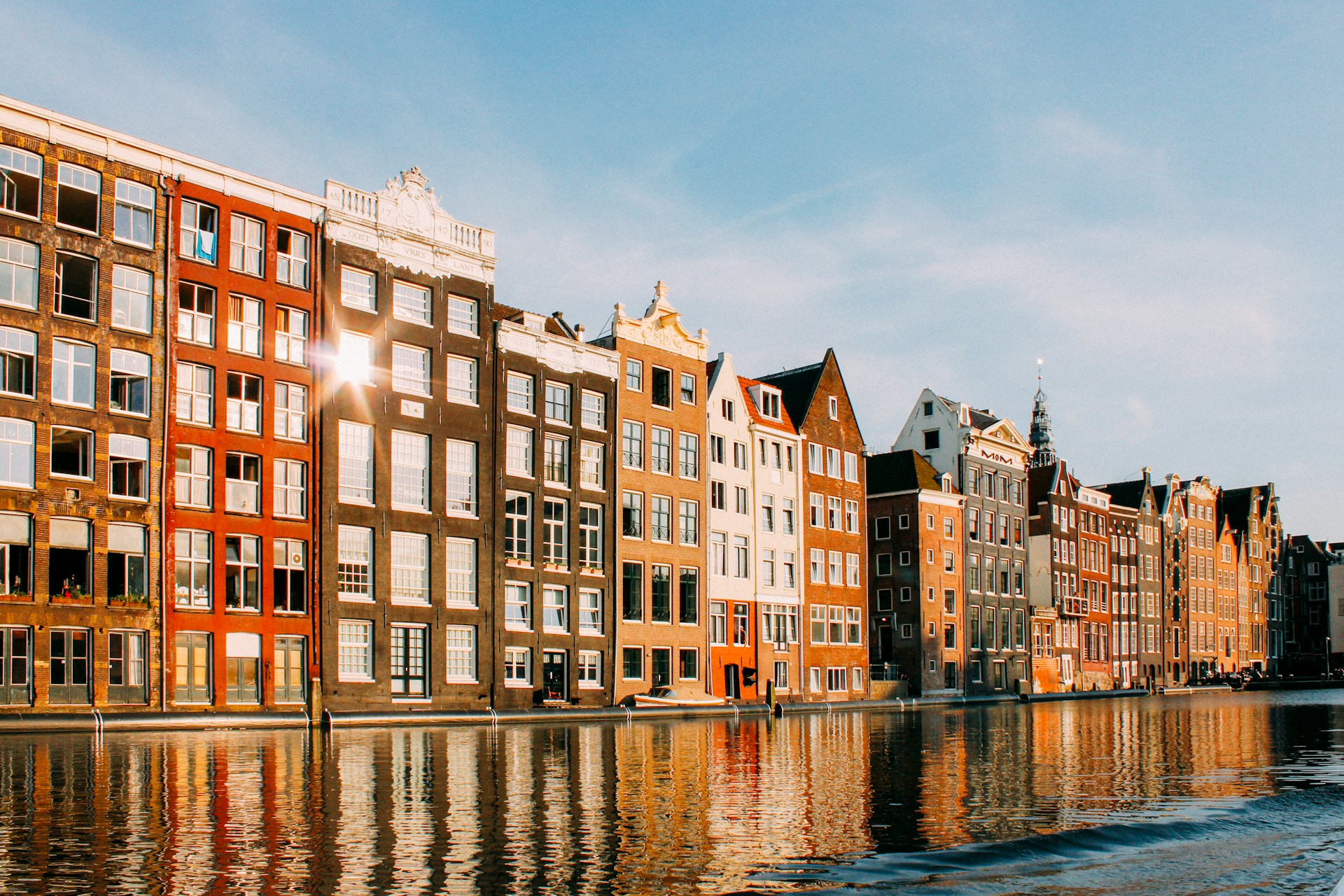 Амстердам стал первой европейской столицей, поддержавшей инициативу о переходе к веганству