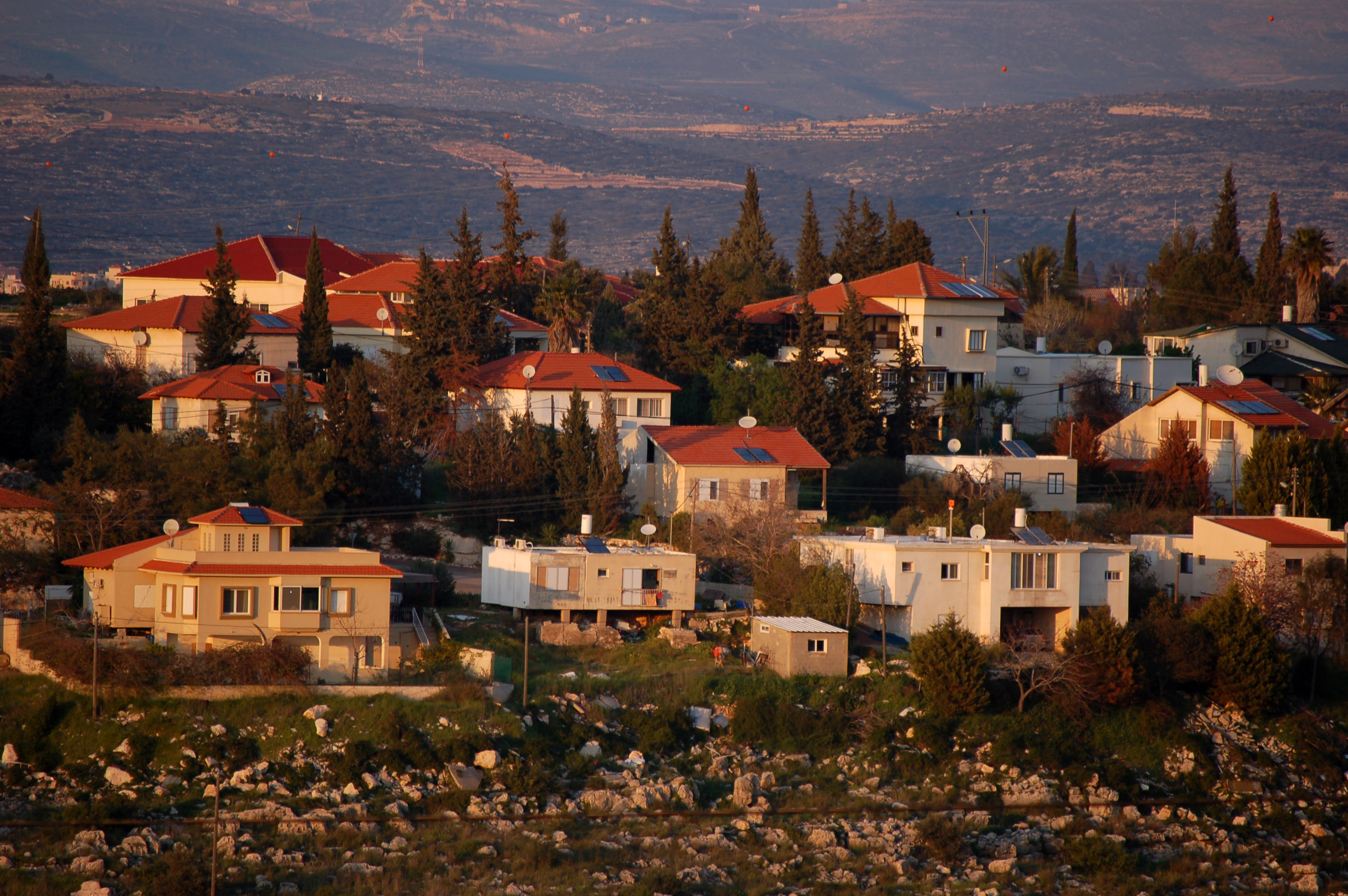 В Израиле есть веганская деревня с пятью тысячами жителей